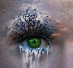eyes-tear-tree-b3c108b15a1c2272f2dc3f96d0c172f9