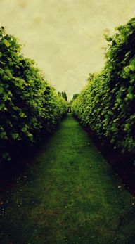 87532b910c1d43da77b6e7fc9480b650